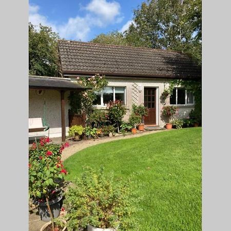 Mews With Garden Views Apartment Carlow Bagian luar foto