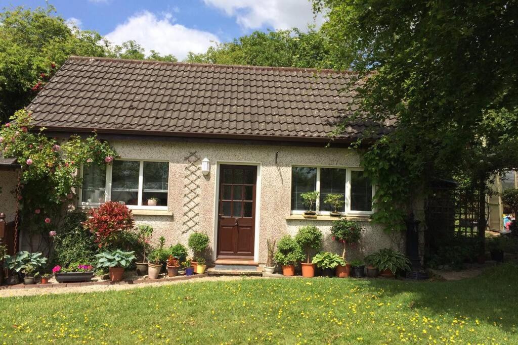 Mews With Garden Views Apartment Carlow Bagian luar foto