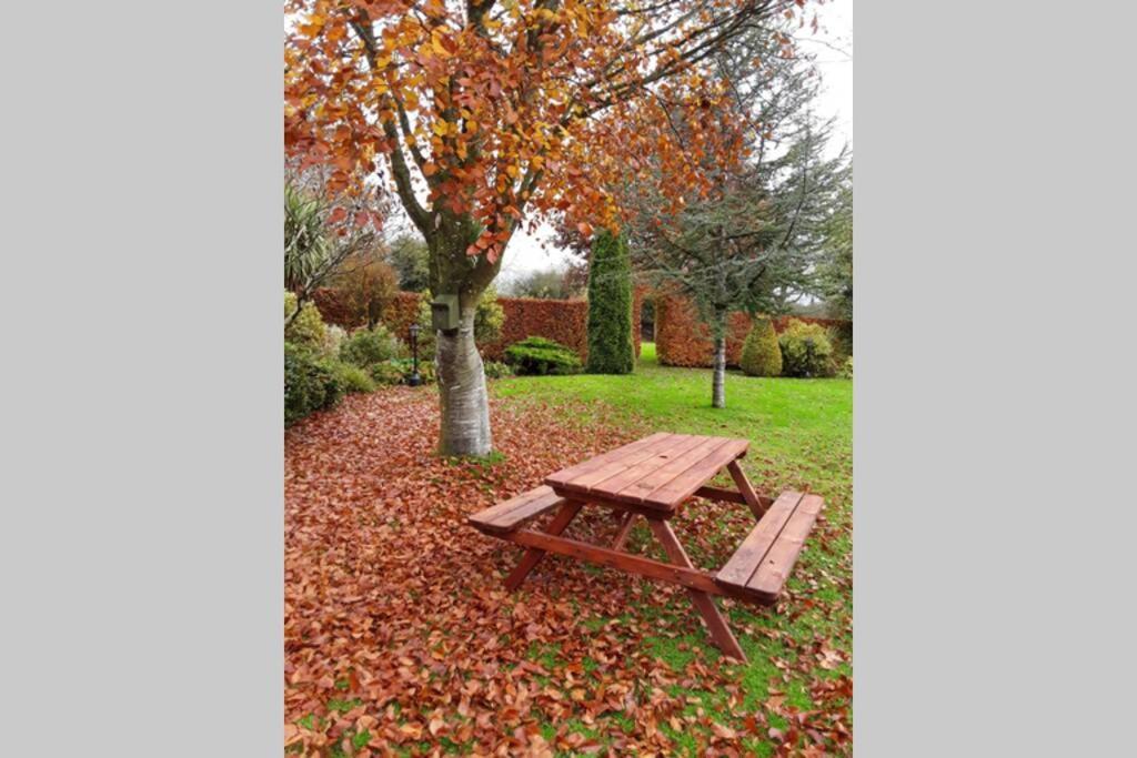 Mews With Garden Views Apartment Carlow Bagian luar foto