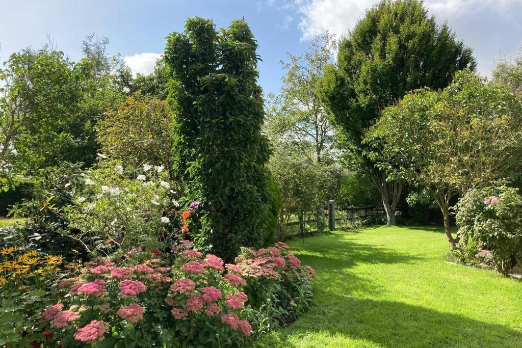Mews With Garden Views Apartment Carlow Bagian luar foto