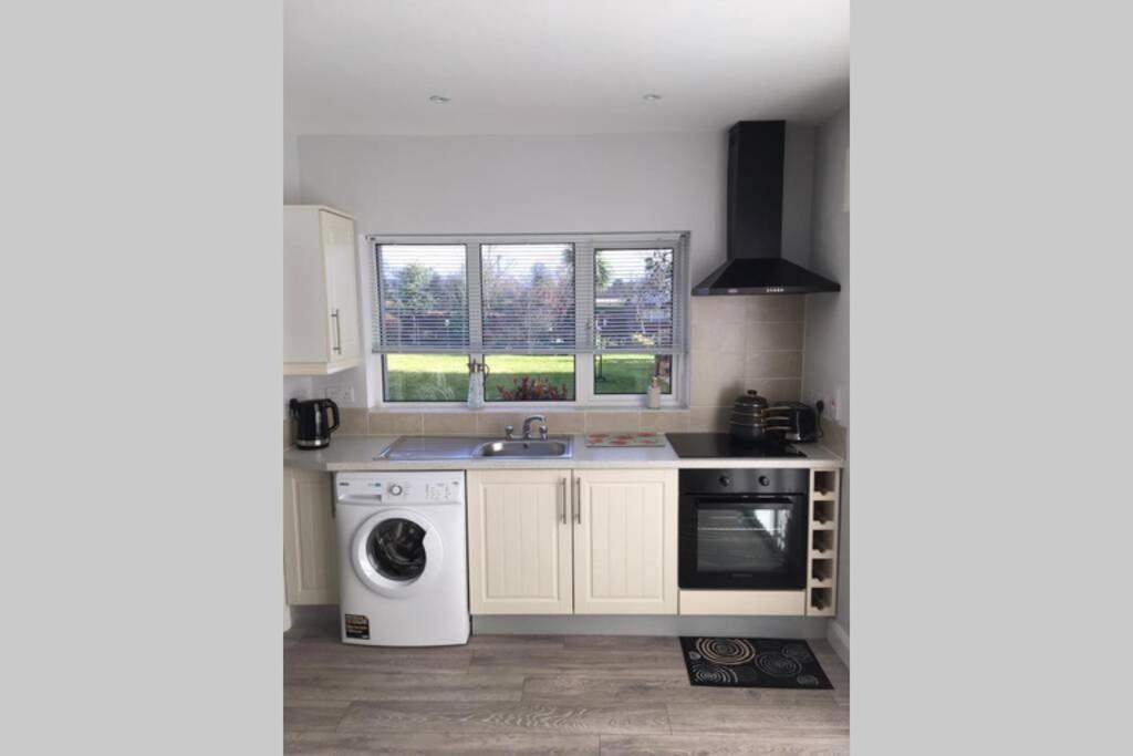 Mews With Garden Views Apartment Carlow Bagian luar foto