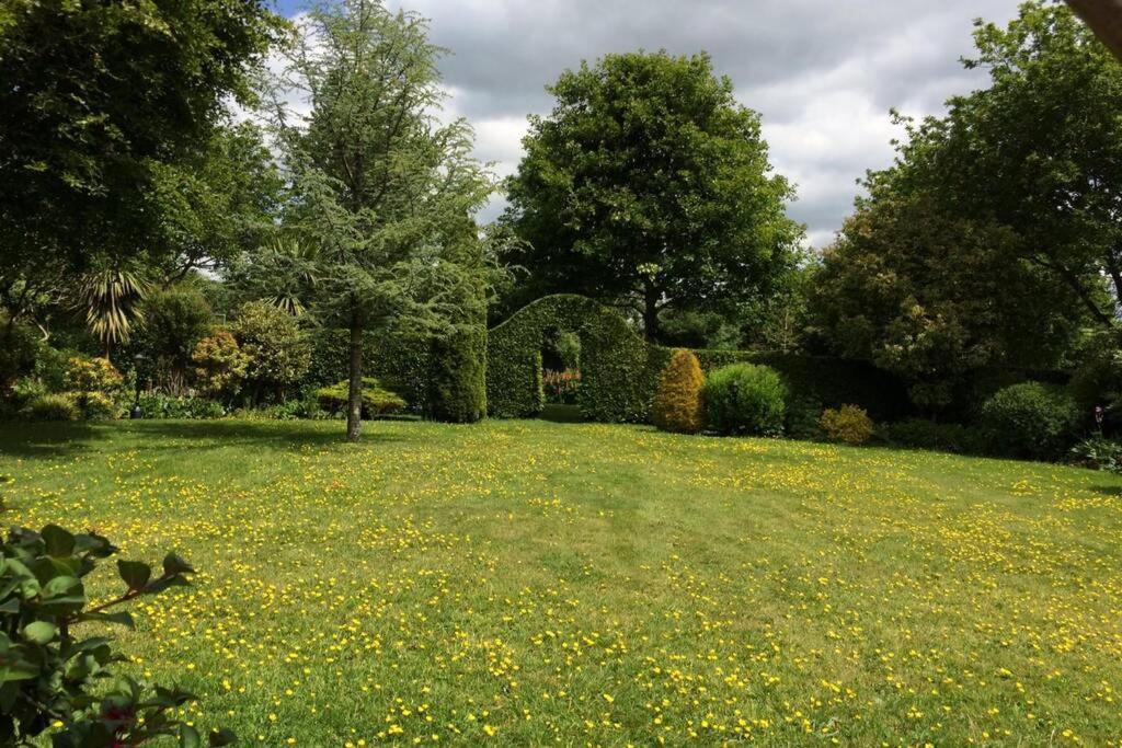 Mews With Garden Views Apartment Carlow Bagian luar foto