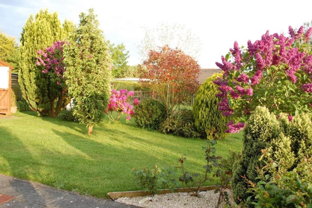 Mews With Garden Views Apartment Carlow Bagian luar foto