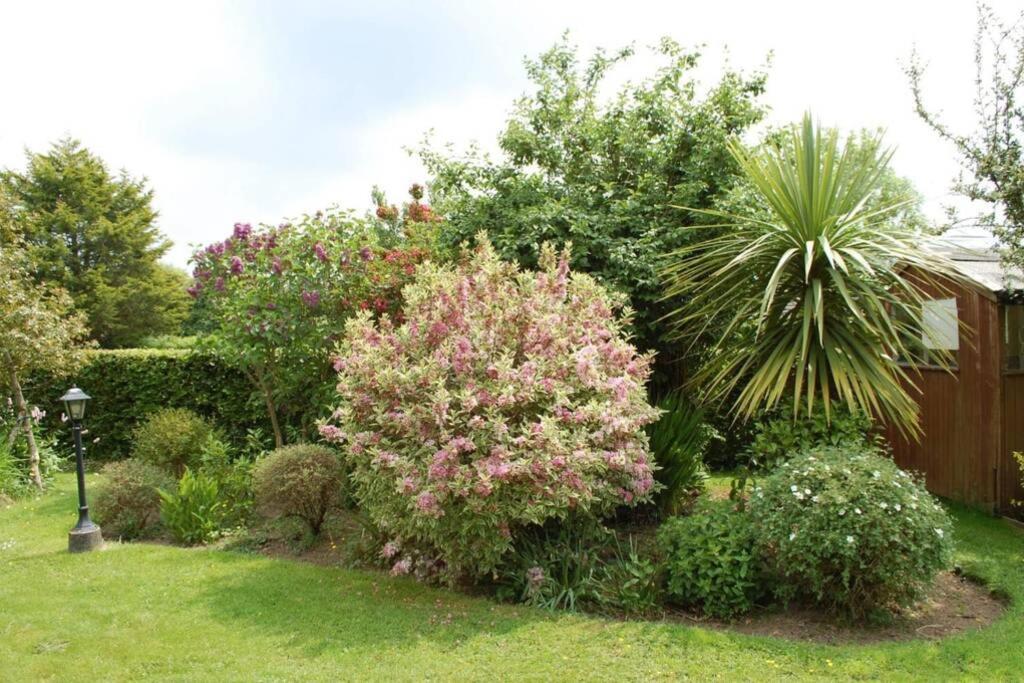 Mews With Garden Views Apartment Carlow Bagian luar foto