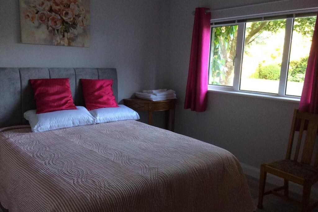 Mews With Garden Views Apartment Carlow Bagian luar foto