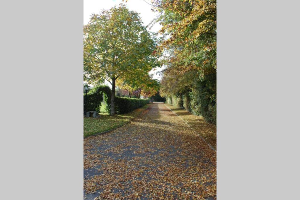 Mews With Garden Views Apartment Carlow Bagian luar foto